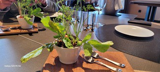 Rábanos con queso, crujiente de chicharrones y polvo de olivas