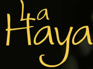 Logotipo La Haya