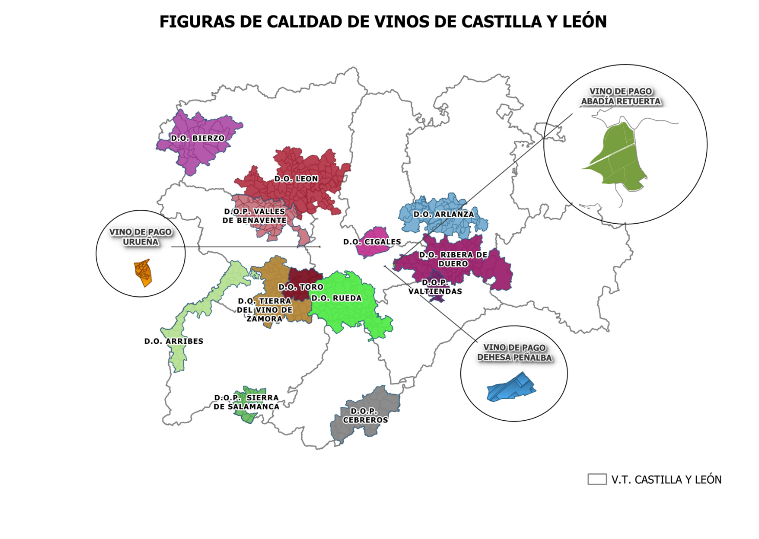 Duero Wine International Fest 2024: Tendencias y calidad de los vinos del Duero