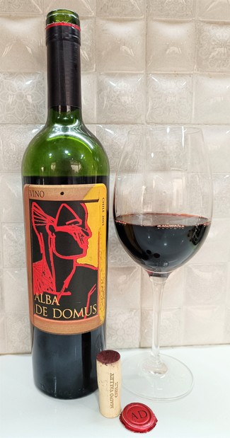 ¡¡Vinazo chileno!!