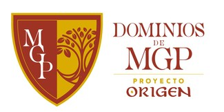Dominios de MGP - Proyecto Origen