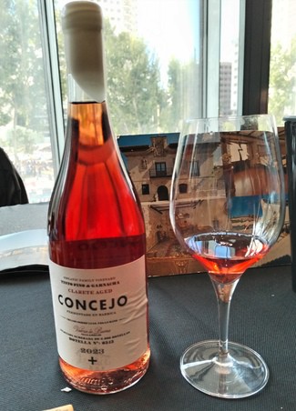 Concejo Clarete Aged 2023