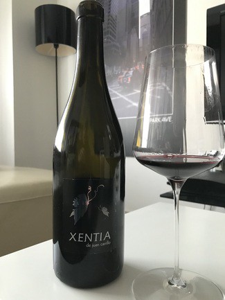 Xentia by Juan Carrillo 2021