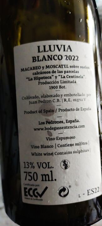 Lluvia Blanco 2022