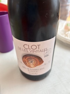 Clot de les vinyales 2020