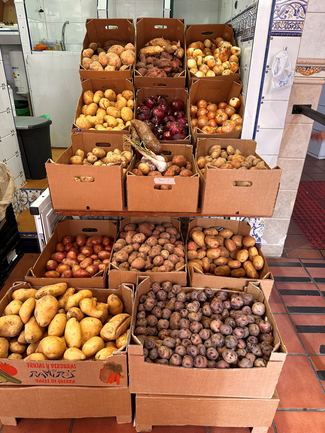 variedad de patatas