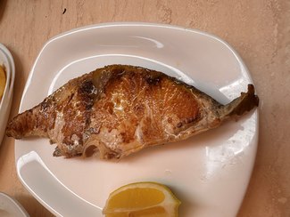 pescado