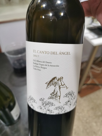 El Canto del Ángel 2017