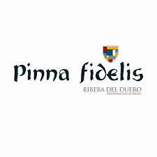 Pinna Fidelis en Peñafiel