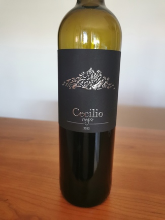Cecilio Negre 2022