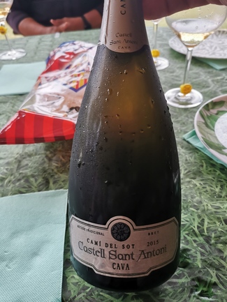 Castell Sant Antoni Cami del Sot brut 2015