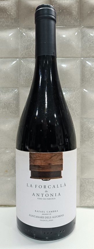 La Forcallà de Antonia 2022