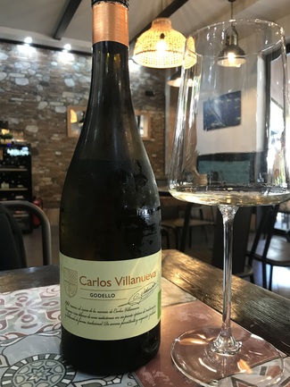 Carlos Villanueva Godello 2023