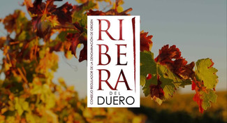El CR Ribera del Duero defiende los intereses de sus operadores frente a proyectos perjudiciales para la DO