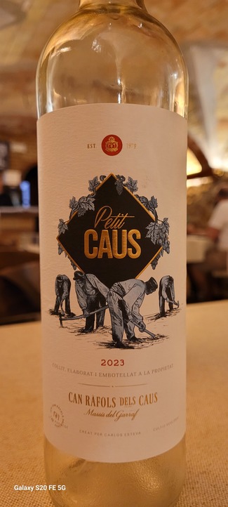 Petit Caus 2023 DO Penedès