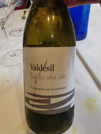 Valdesil Godello sobre lías 2021