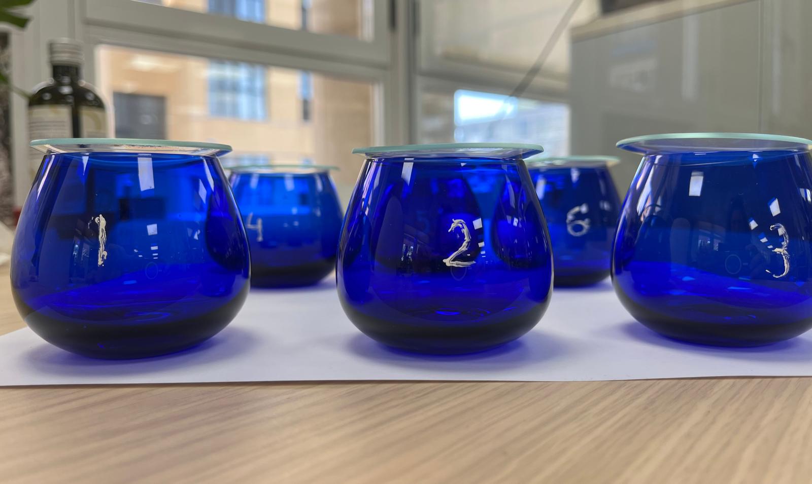 Verema Inicia las Catas para la Nueva Sección de AOVE en la Guía ADN Verema