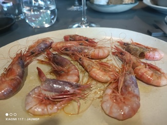 Gamba blanca de Blanes
