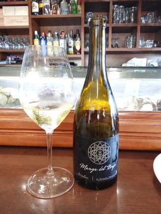 Manga del Brujo Blanco 2022