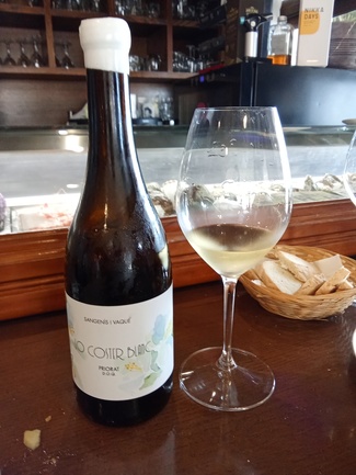 Lo Coster Blanc 2022