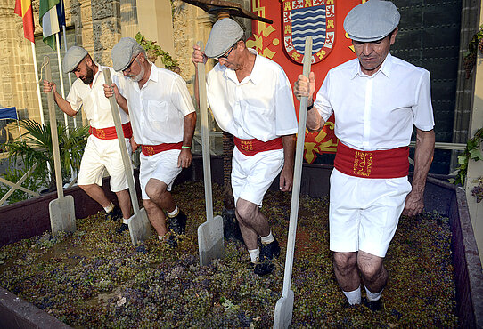 Fiestas de la Vendimia de Jerez 2024