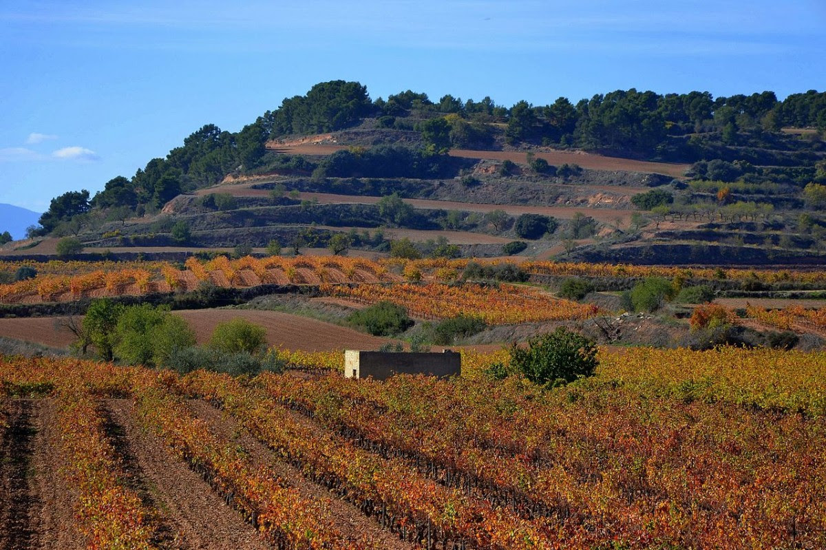 Los mejores vinos de Conca de Barberá, Premios Sigillum 2024