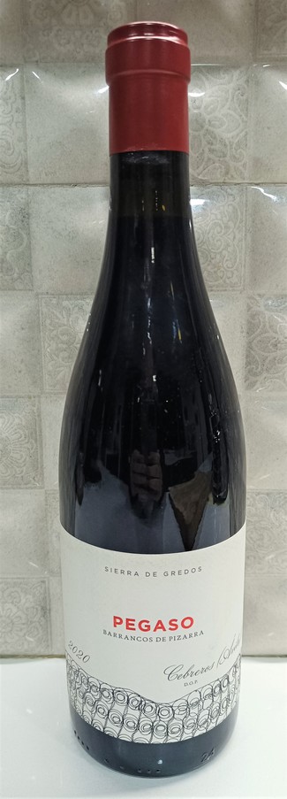 Pegaso Barrancos de Pizarra 2020