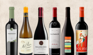 Lote "Matices de Otoño"