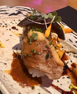 nigiri pluma