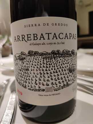 Pegaso Arrebatacapas 2019