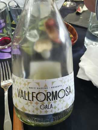 Vallformosa Gala Brut Nature Reserva 2019
