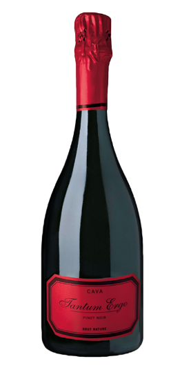Tantum Ergo Pinot Noir 2022