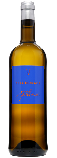 BELONDRADE QUINTA APOLONIA 2023