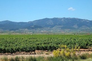 La Unión Europea registra la nueva Denominación de Origen Protegida de vino de pago “Urbezo”