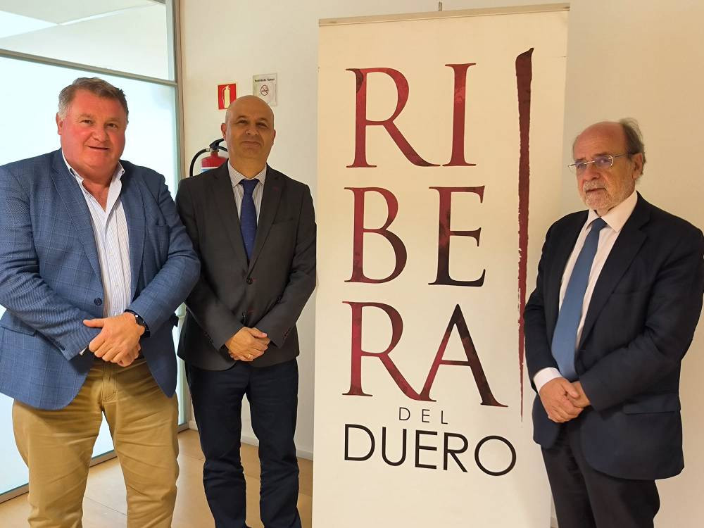 El vino puede ser parte de un estilo de vida saludable, siempre que se consuma de forma moderada