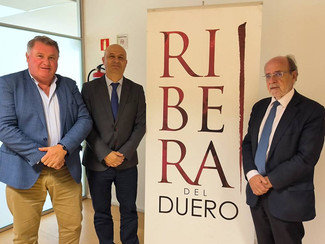 El vino puede ser parte de un estilo de vida saludable, siempre que se consuma de forma moderada