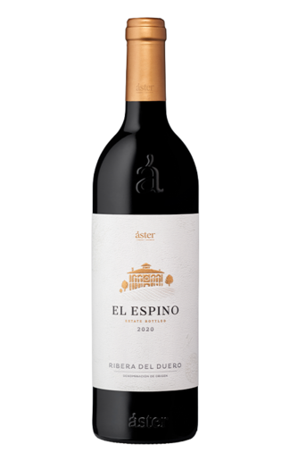 Aster El Espino 2021