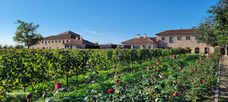 Vista parcial de la Bodega Perelada