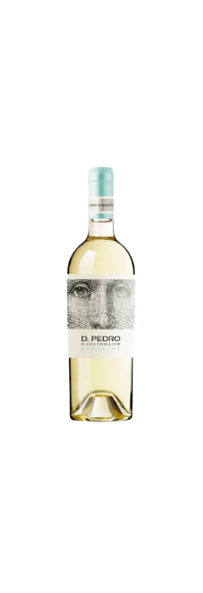 D.Pedro de Soutomaior 2023