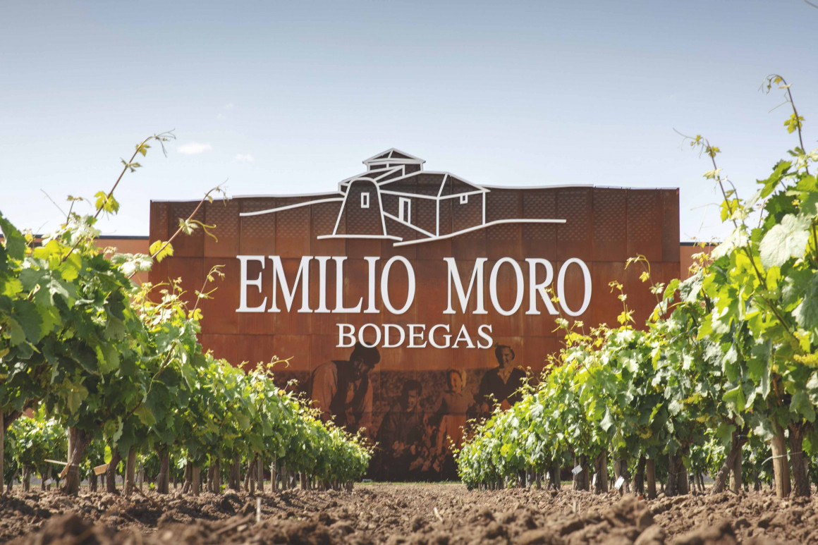 Bodegas Emilio Moro celebra el centenario de su viñedo más emblemático: Pago de Valderramiro