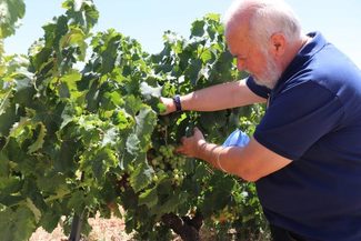 El Consejo Regulador del Condado de Huelva reconoce la intachable trayectoria de Manuel Infante Escudero