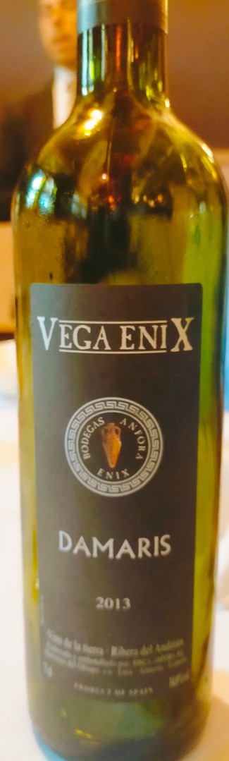Vega Enix Damaris 2013
