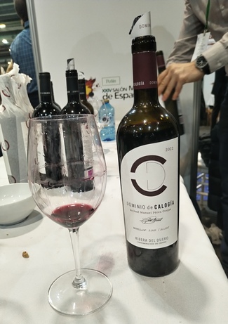 Dominio de Calogia 2022