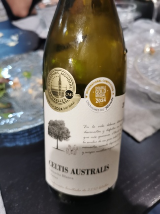 Celtis Australis 2021