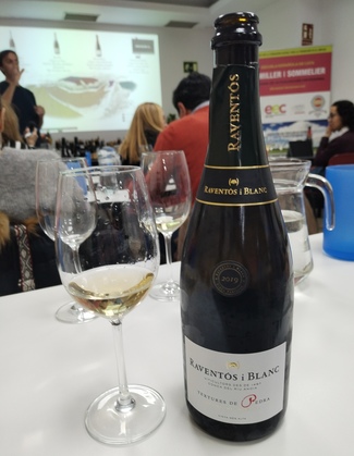 Textures de Pedra 2019