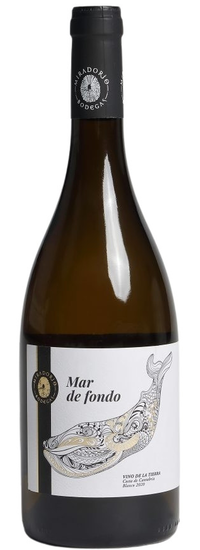 Mar de Fondo 2023
