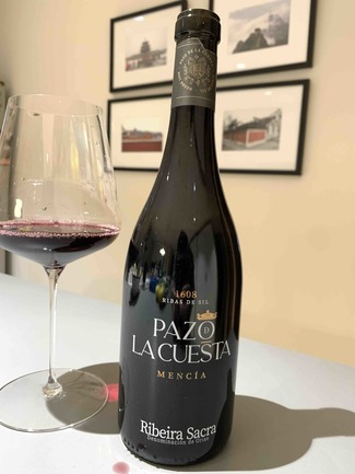 Pazo de la Cuesta Mencía 2021