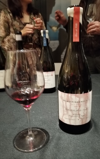 Martín Sarmiento Villa Valtuille de Arriba 2019