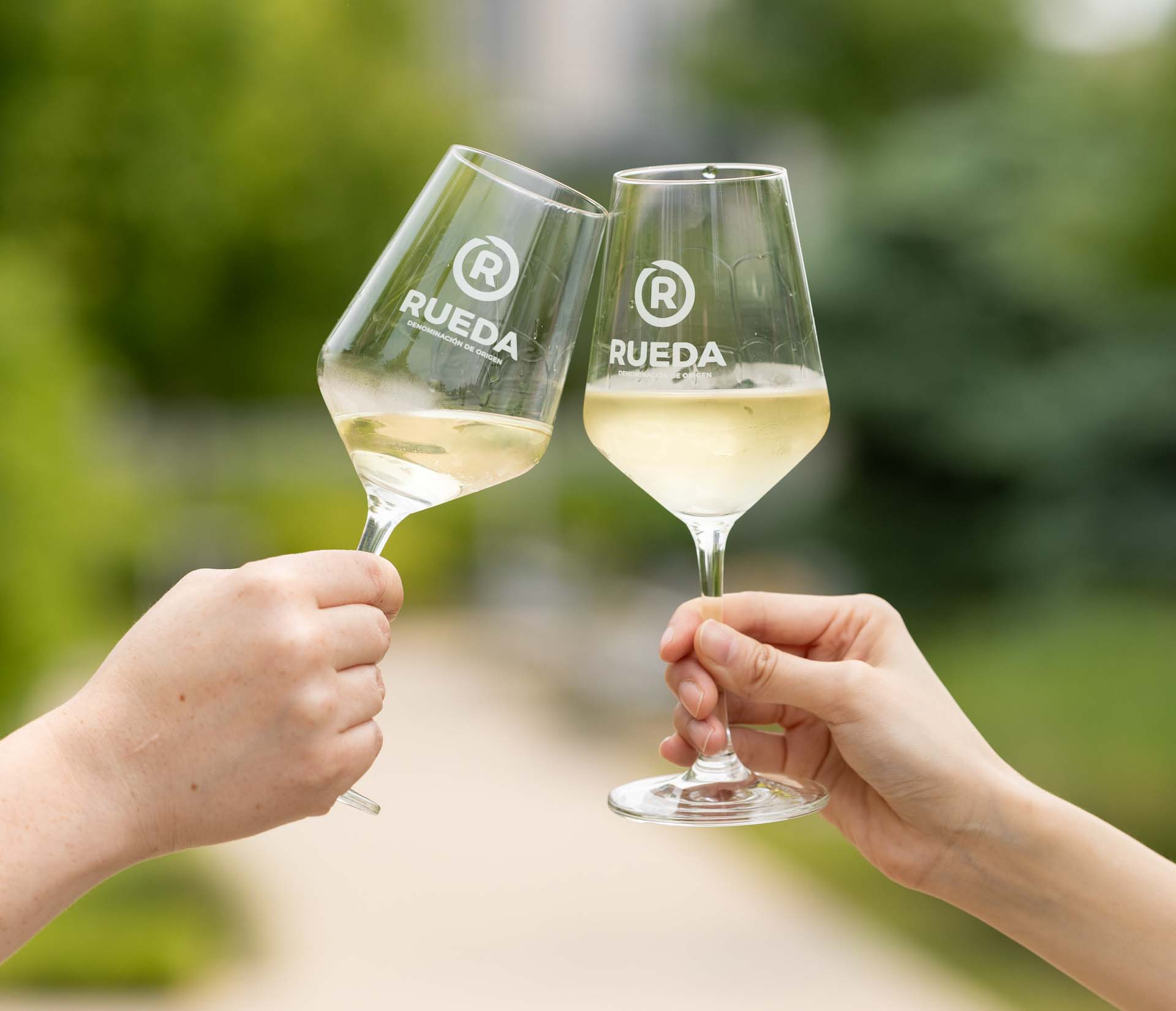 La D.O. Rueda rompe de nuevo su récord de ventas y entrega 118,36 millones de contraetiquetas