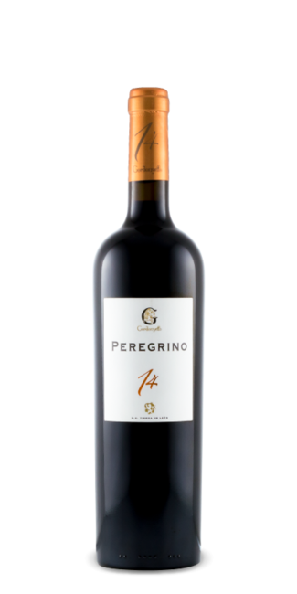 Peregrino 14 2017